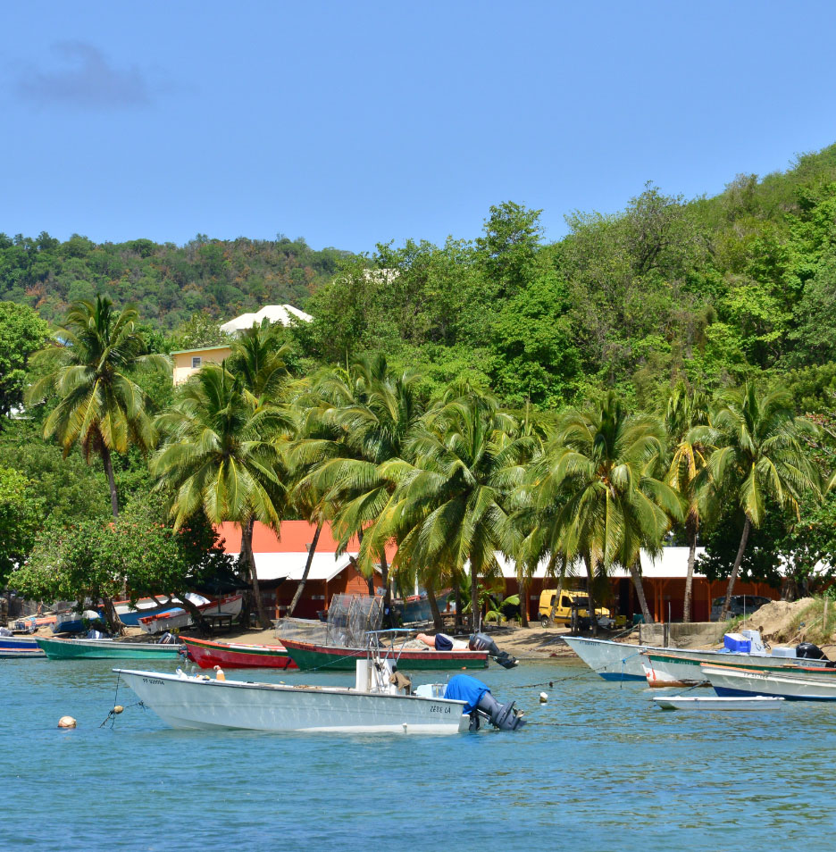 location saisonnière studios martinique - VANILLE DES ISLES